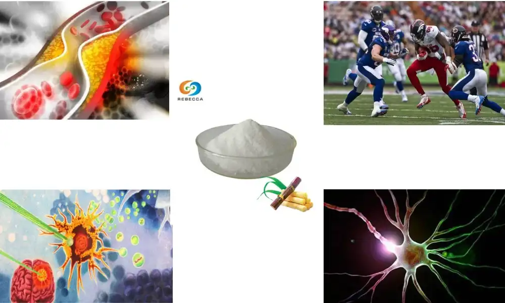 Why Is Octacosanol Powder Popular in Sports Nutrition?